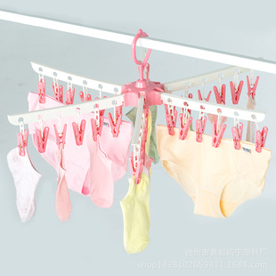 �Z���ۯB���L�����m�Ӄ������¼ܶ��A�ӕ��¼�36�A�����¼� 300g