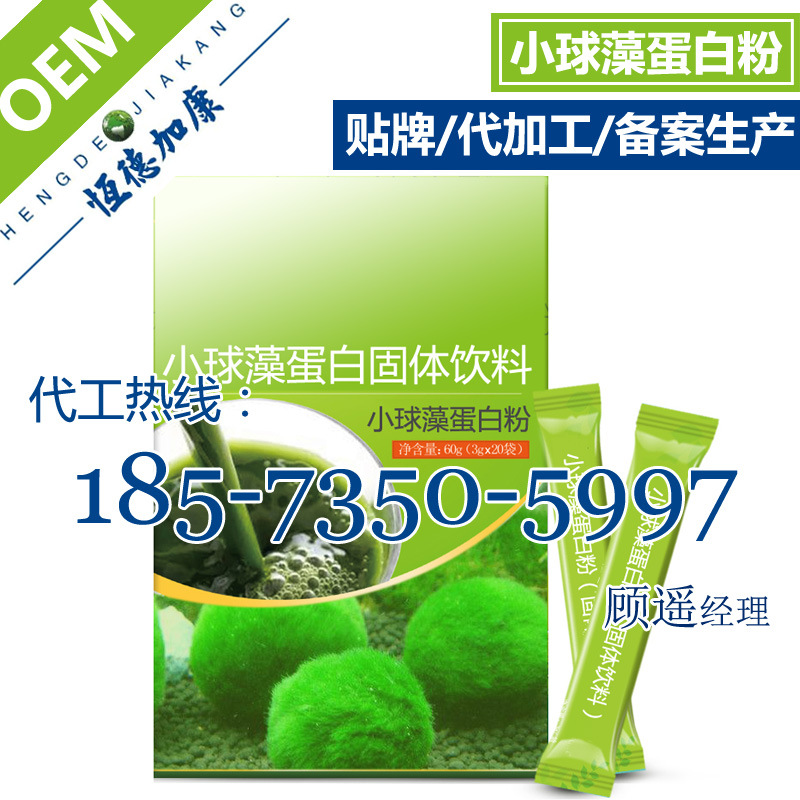 05小球藻蛋白粉加工