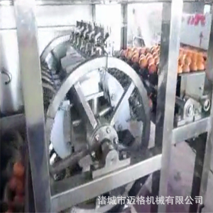 蛋液分离机11