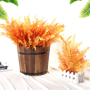 �ָ��z�Pβ�~����ֲ���~ �٘��~ ��ƺ�����~�����b��������ֲ��