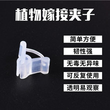 植物塑料蔬菜瓜果茄子西瓜甜瓜园艺嫁接夹育苗嫁接夹不伤苗