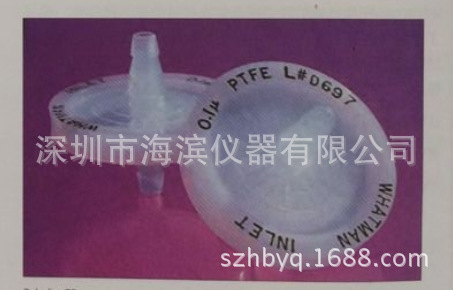 WHATMAN clyde在线过滤器6720-5001除菌过滤器PTFE材质