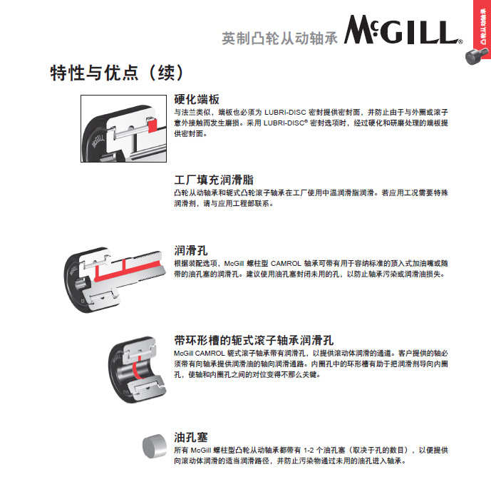 mcgill优点2
