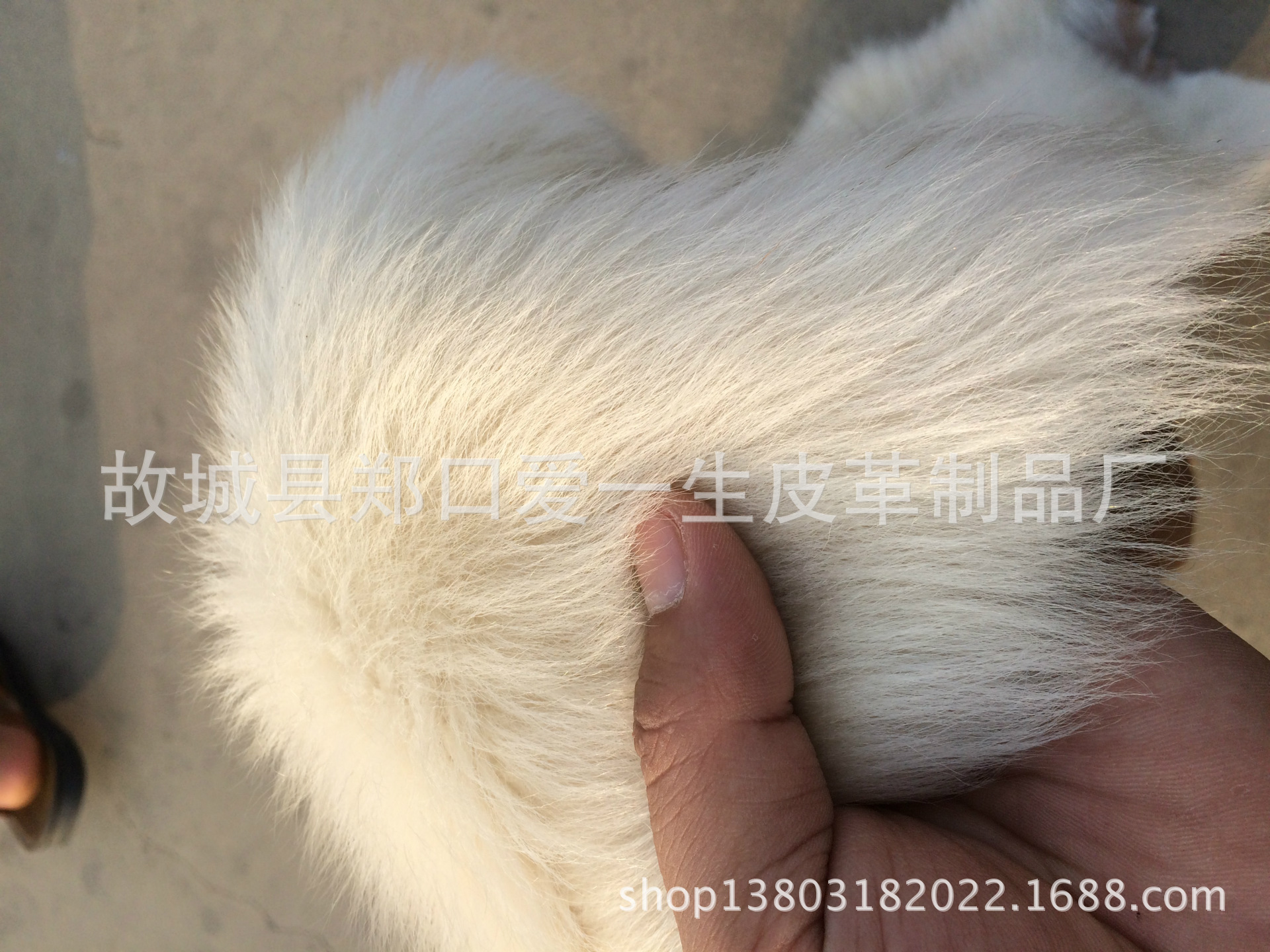 IMG_6220[1]