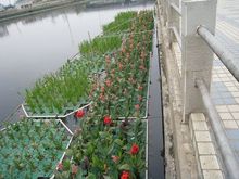 浮床水生态治理人工浮岛聚乙烯塑料浮块种植浮板