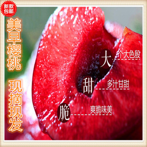 樱桃车厘子现货，特级果2斤装美早樱桃，一件代发，顺丰包邮