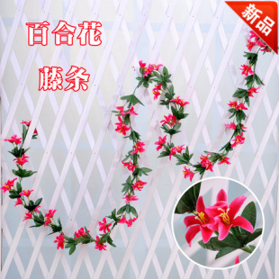 ����ٻ����ٻ����ٗl�͏d���{���N�����b�����С�ٺϻ��l2.2��