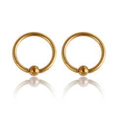 Cross-border e-commerce Wish Amazon 316L medical stainless steel nose ring brow ring BCR piercing jewelry