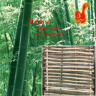 ���Y�����á�Ʒ�|���B���o�� Ʒ�|���Ƭ �_��Ƭ�S��ֱ�N