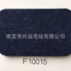 F10015
