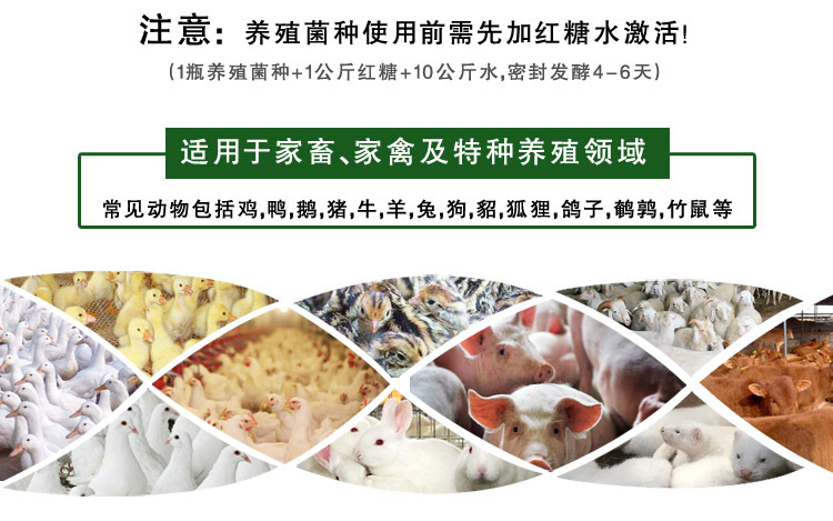 农富康养殖菌种饲喂家禽家畜