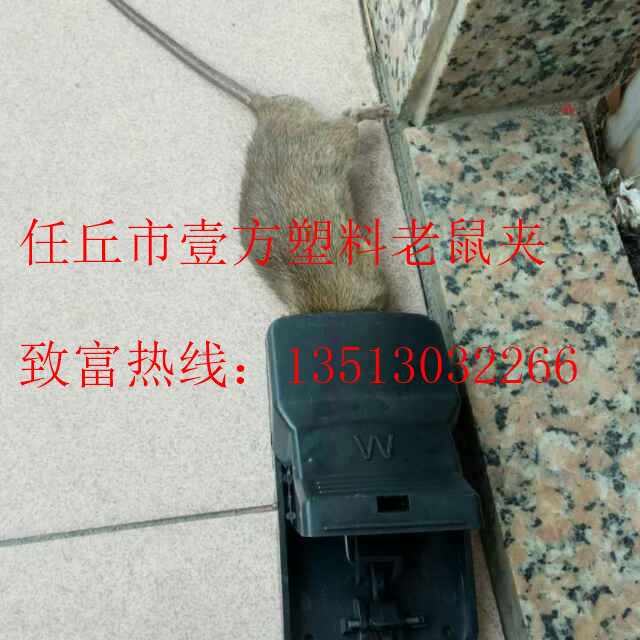 hdImg_105aa1b3071db97921c626ae
