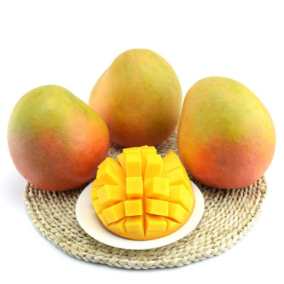 fresh Vietnam Ao Mang