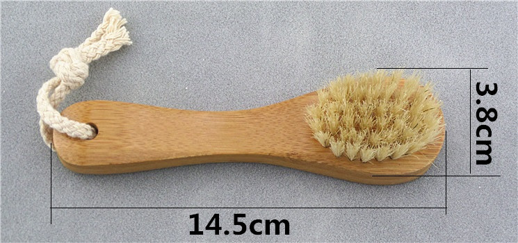 SAM_8177_副本1_副本