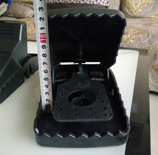 IMG20170513183737_副本