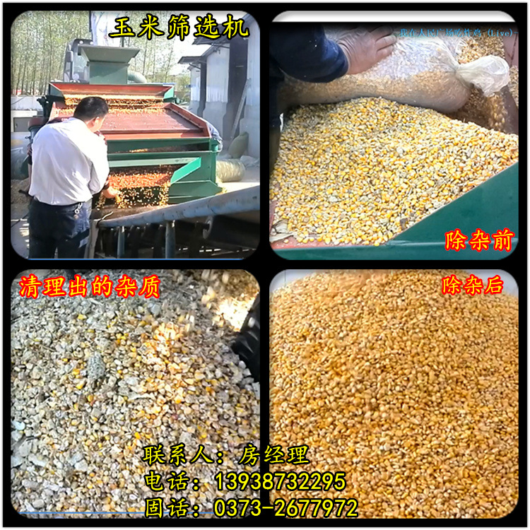 ����ɸѡ��