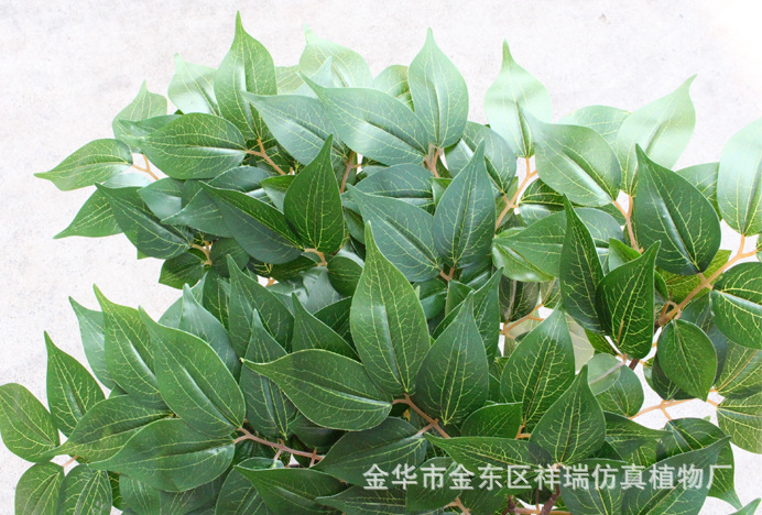 XRB-168涓冨瓙鑺卞彾涓夊弶鏋??