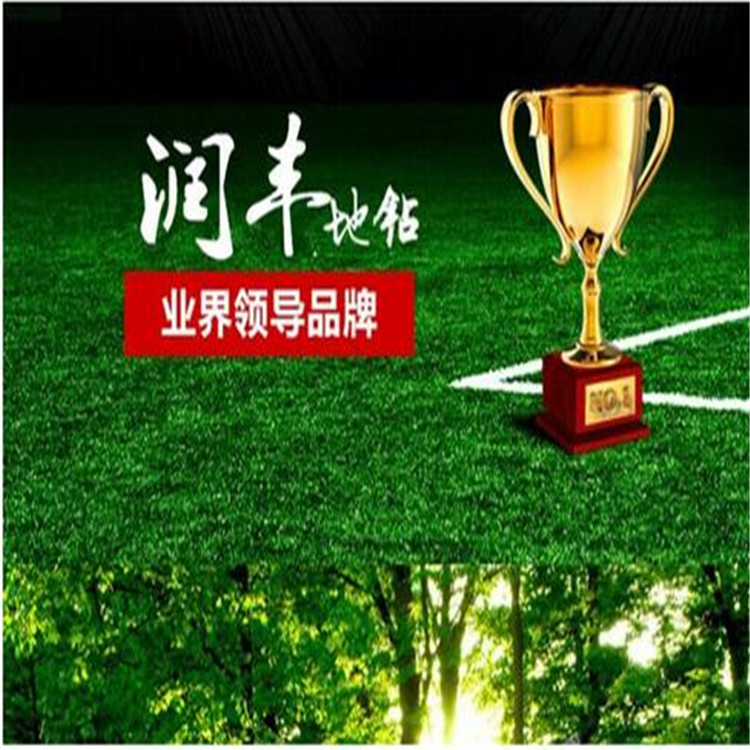 滁州高强度打坑机 挖坑机