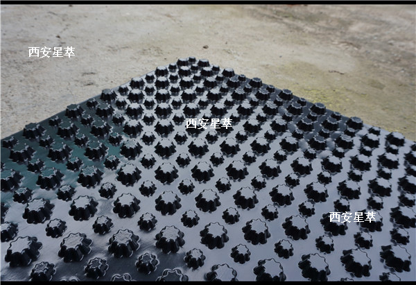 pvc排水板@置顶科技18805717011 (4)