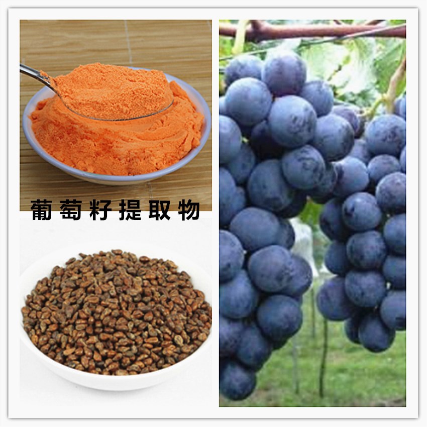 葡萄籽提取物95% 厂销 天然 水溶性 抗氧化原料 原花青素OPC包邮
