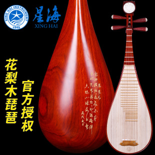 Xinghai mahogany pipa musical instrument 8912-2 Huali mahogany polished pipa professional performance examination lute accessories