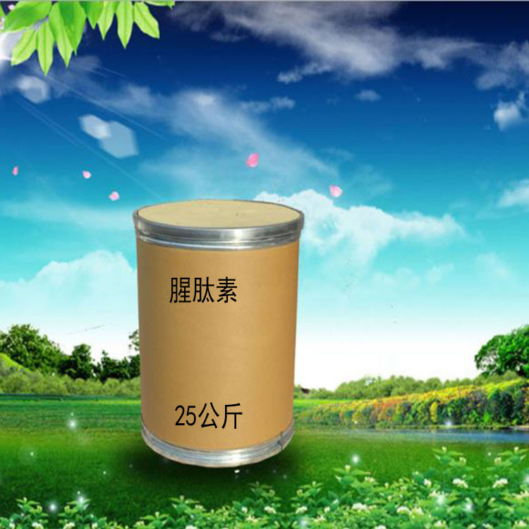 现货供应腥肽素 鱼饵用  量大从优含量99