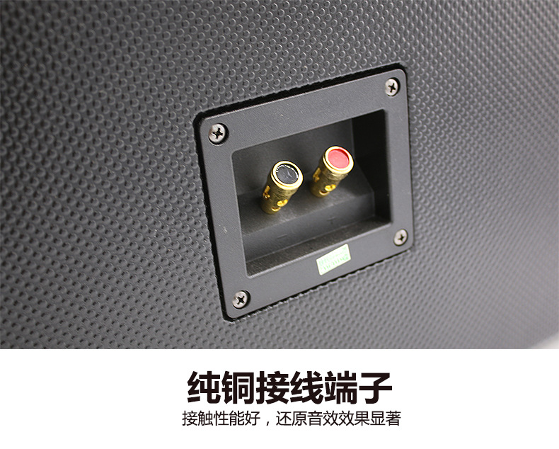 V10无源_08