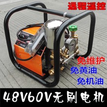 奇力48V60v直流无刷电机 双缸柱塞泵农用打药机高压水泵喷雾器