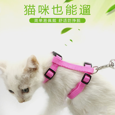 貓牽引繩防掙脫貓鏈遛貓繩可調節貓繩子貓牽引繩溜貓寵物用品批發