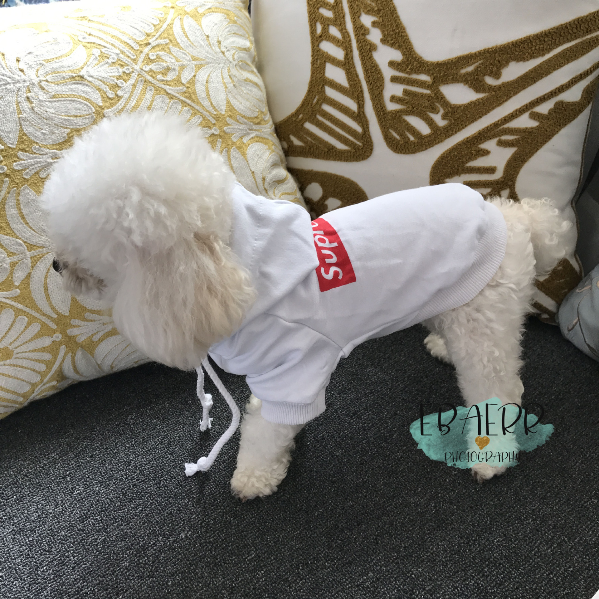 Pet Hoodie Image 4