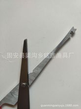 �S�ҹ��� ���㲻�P�ȡ�h�� ��~���~���� ����O��������l