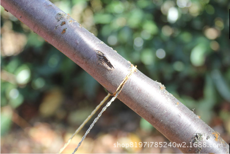 Outil de survie - Ref 3393980 Image 15
