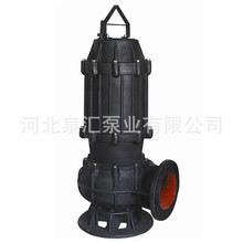 �����N��300WQ600-20-55���P䓝��۱� ��ˮ��ˮ������ �|������