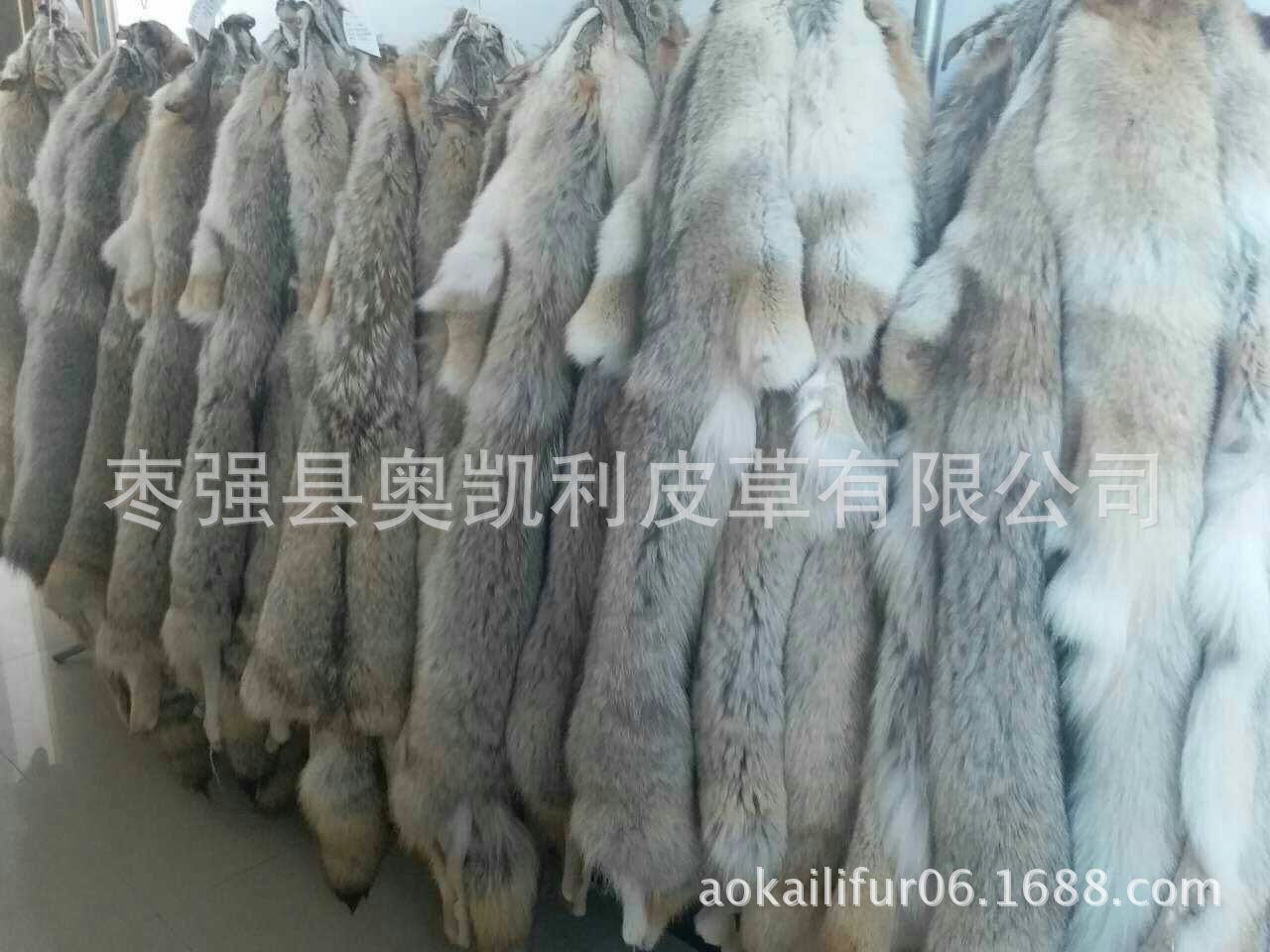 狼毛领mmexport1492910250287