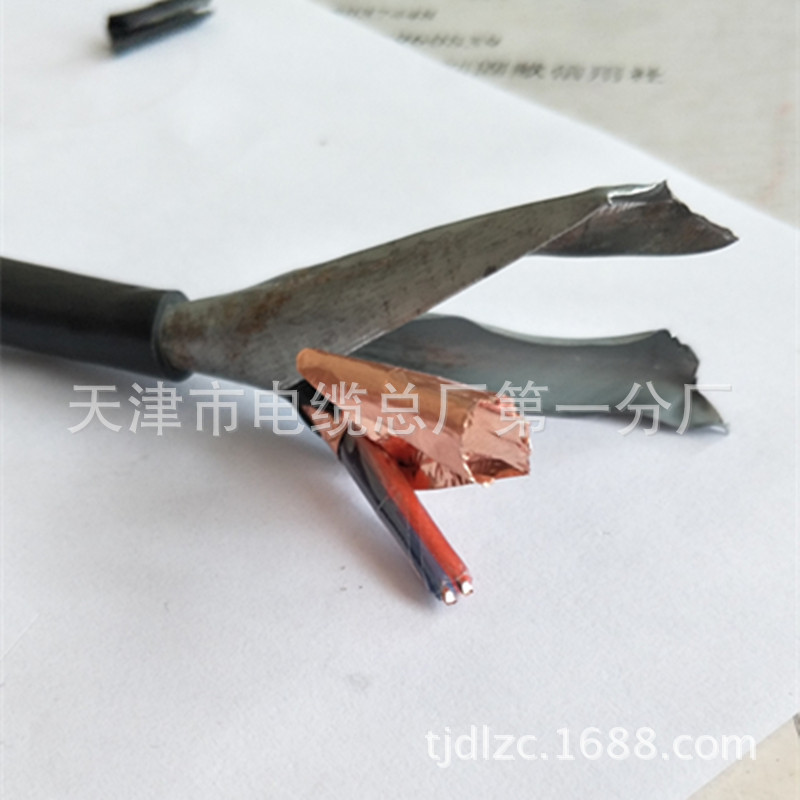 计算机电缆DJYPVP 5*2*1.0 DJYVP2-22铠装铜箔屏蔽计算机电缆