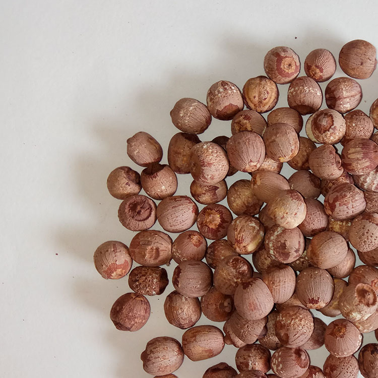 Low Temperature Baked Red Lotus Seeds Hong Lian Zi Dried Lotus Seed for Soup and Congee quality and texture