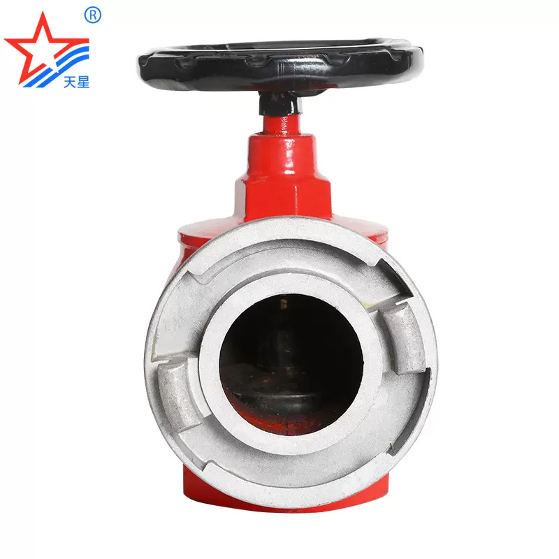 天星消防器材减压室内栓消防栓SNJ消火栓灭火设备消防生产厂家