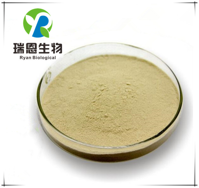 白芸豆提取物20:1萃取白芸豆提取物菜豆素专业原料厂家供应