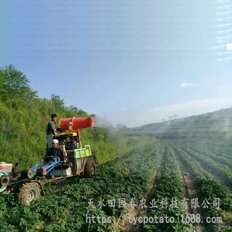 3164427968_1910037688_副本