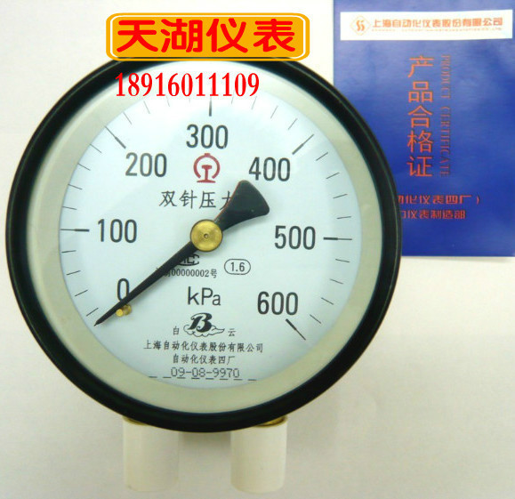 自动化仪表 YZS－102双针双管压力表 天湖仪表