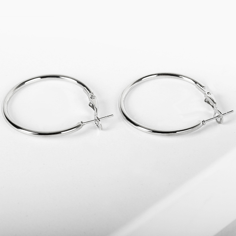 New Simple Geometric Circle Earrings Hypoallergenic Stainless Steel O-ring Hoop Earrings Wholesale display picture 11