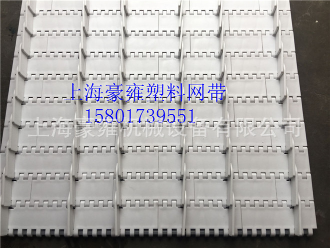 裙边式网带分道链  OPB型号网带 网带厂家 豪雍塑料网带