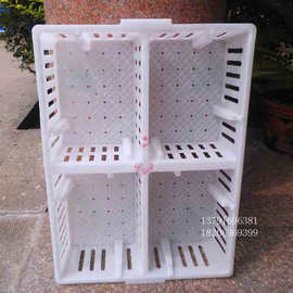 鸭苗筐小鸡筐 雏鸡周转图片