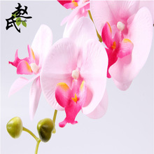 ֱ�N����8�������m�҃��b�ˇ�[�����ϻ����Ի�c�b������l