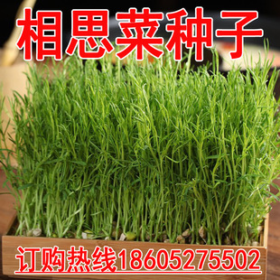 ͥԺ�̨�Nֲ�Gɫ�o�����ߙn�߲�������˼�˷N�������㶹�R������
