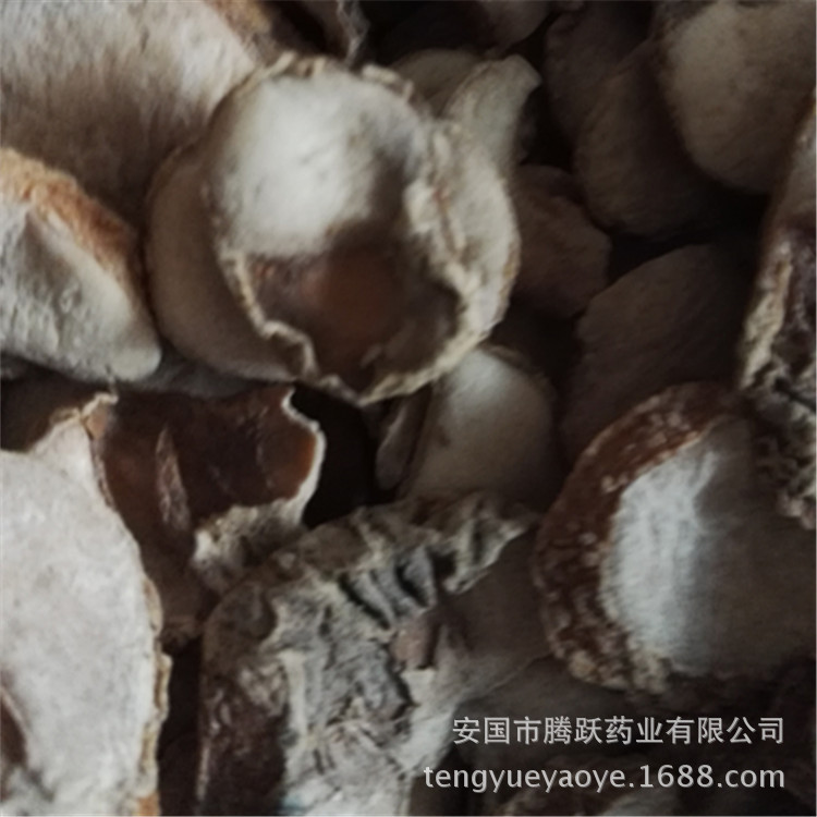 Zhejiang Fritillaria Bulb Slices Zhe Bei Mu Dried TCM Herb for Decoction 1kg quality and texture