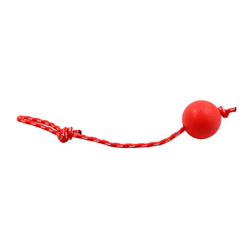 Dog Training Bite Resistant Ball Solid Pet Bouncy Ball Rope Portable Solid Ball Pet Toy