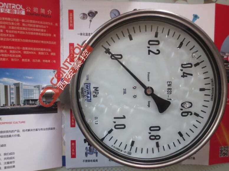 732.14 德国WIKA压力表