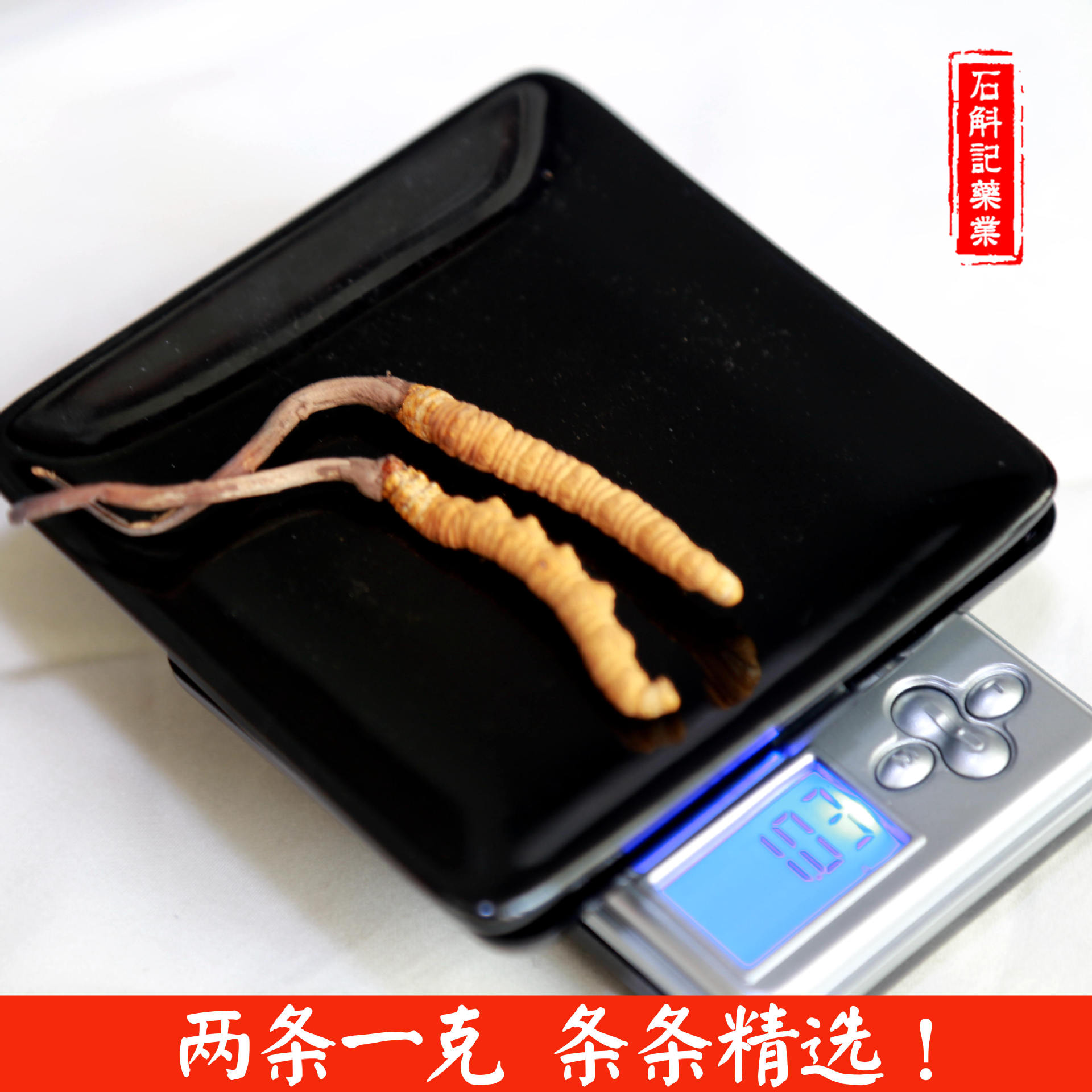 冬蟲夏草 西藏那曲特産玉樹蟲草無斷條 2條壹克精品大條全國包郵