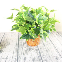 ֲ Gb Gֲ҃쾰b 7^zع~